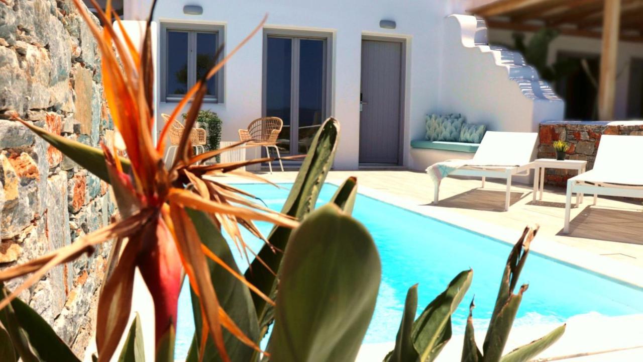 Villa The Nine Graces - Agia Anna - Option With Private Pool Or Hot Tub Extérieur photo